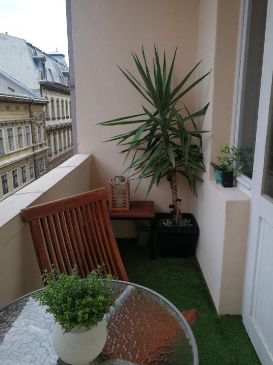 Centrum11 Pécs Eksteriør billede